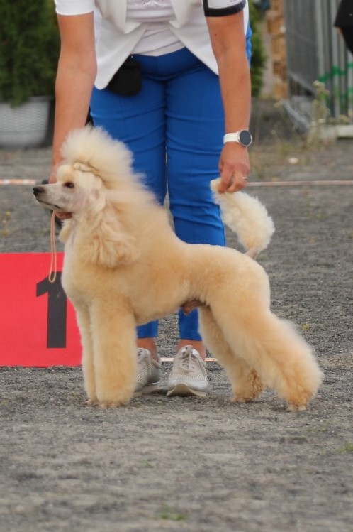 Ruka