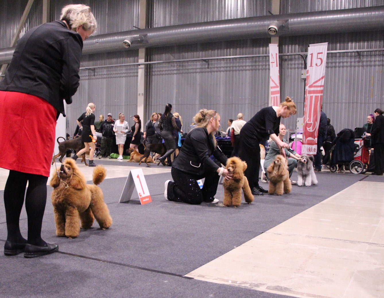 PN kehä nartut sunnuntai