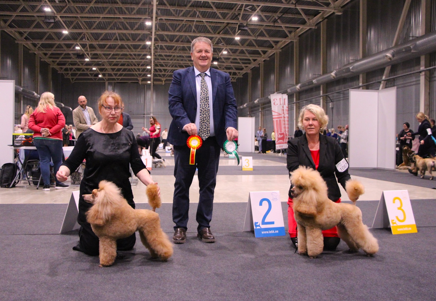 Villa Runon Soma Terhikki ROP ja Iivo VSP 2.11.25